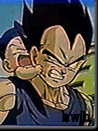 Feeling a little tense there Veggie-Chan?? Bwahaha!